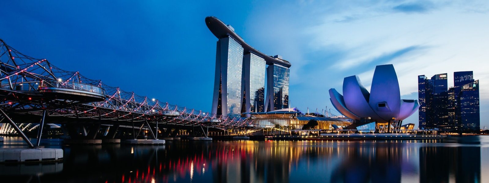 Yasir Malkoç Kimdir? Ne İş Yapar?